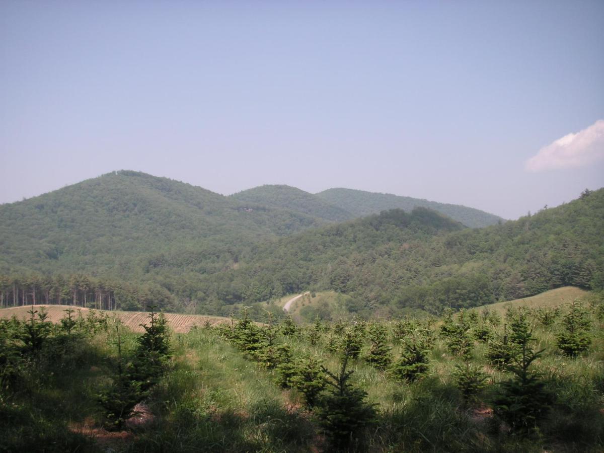 Arrowmont Stables & Cabins Cullowhee Exterior foto