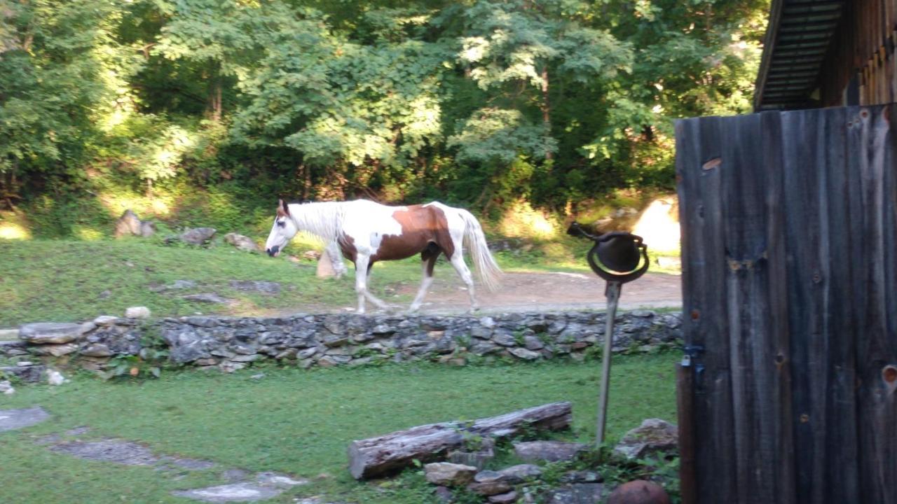 Arrowmont Stables & Cabins Cullowhee Exterior foto